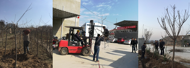 寶雞捷銳“迎春風(fēng)，綠家園”植樹節(jié)(圖2)